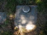 image of grave number 244701